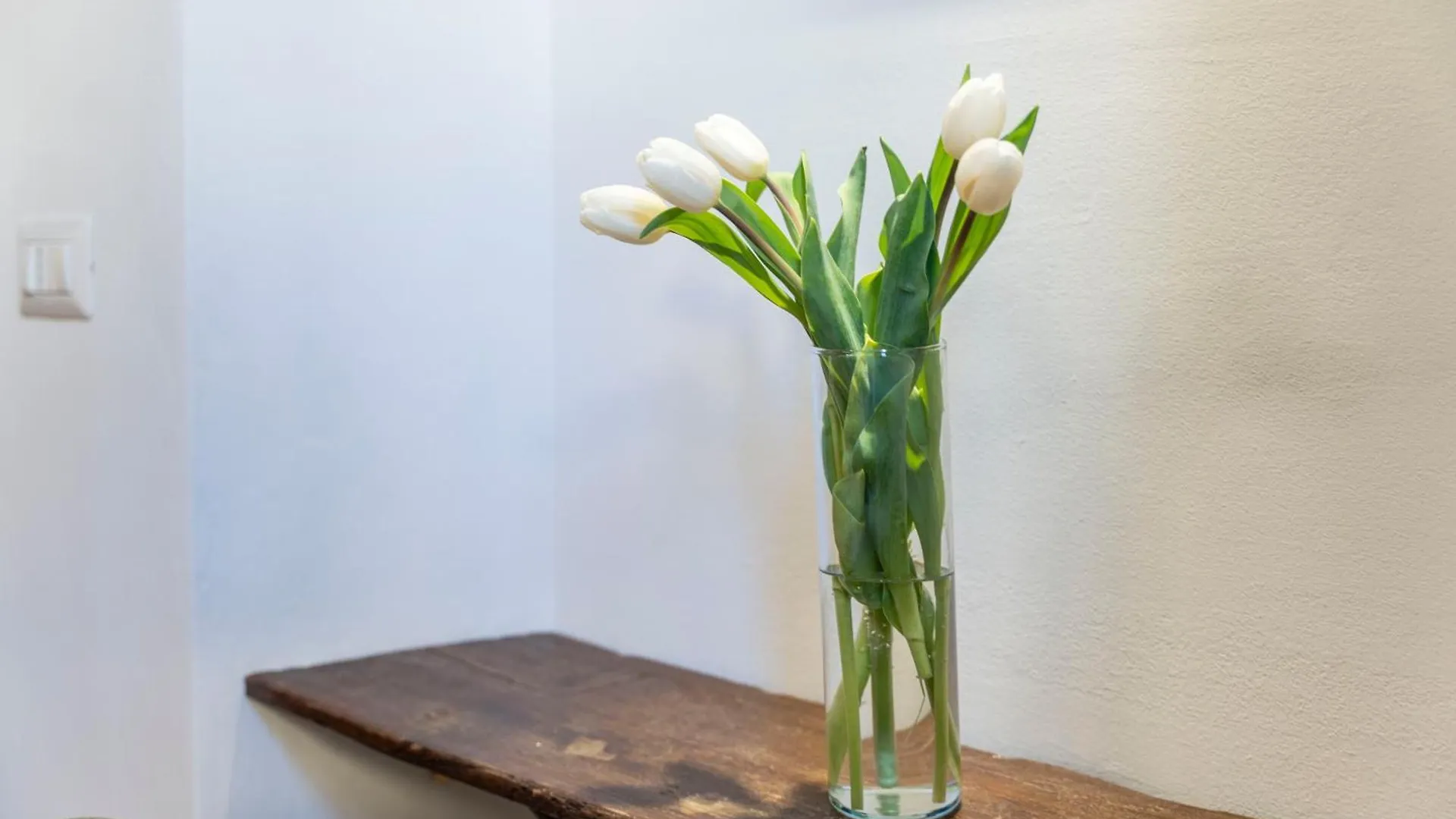 Bela Apartments Florence Guest house